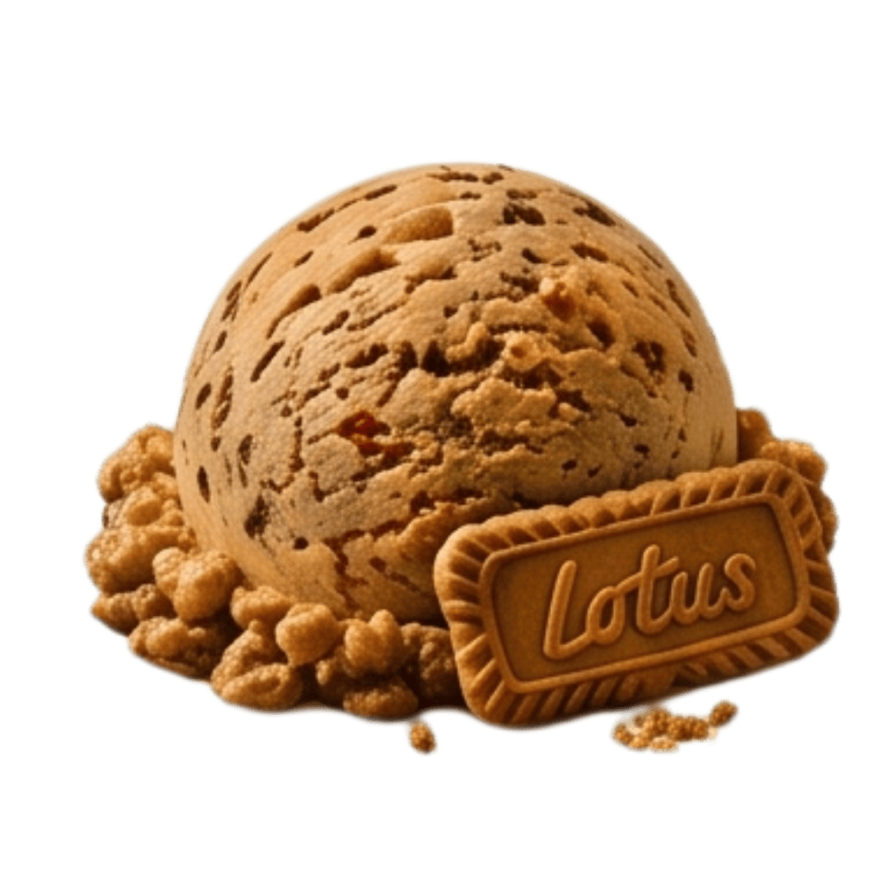 Lotus Bisküvili Dondurma